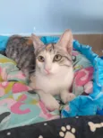 Penélope