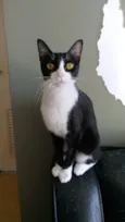 Margô