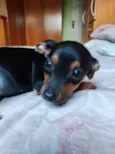Miúda 