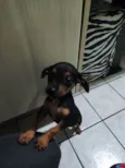 Miúda 