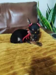Miúda