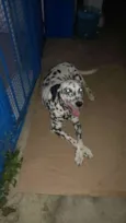 Mel