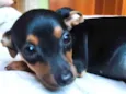 Miúda 