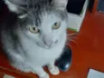 Filhinho