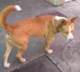 Hugo