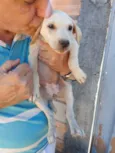 Eles não tem bom