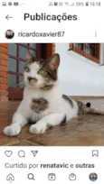 Nikita