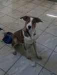 Derik