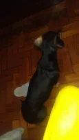 tita