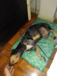 tita