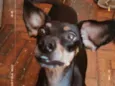tita