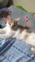 Júpiter (eu coloquei