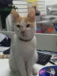 Júpiter (eu coloquei