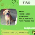 Tião 