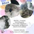 Max