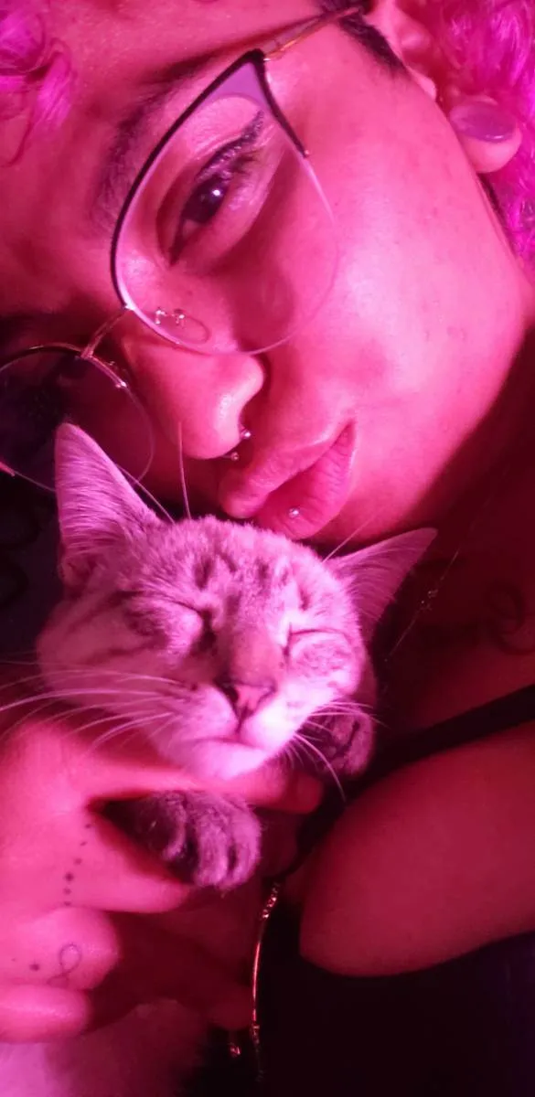 Gato raça Siamês  idade 7 a 11 meses nome Astrid