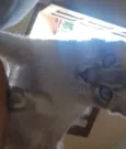 não tem nome 