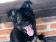 Lady Rosinha
