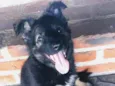 Lady Rosinha