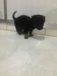 Toto