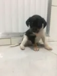 Toto