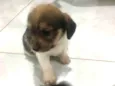 Toto