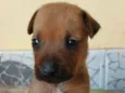 Sem nome 