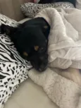 Zoe