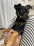 Zoe