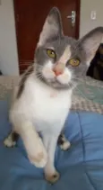 Sophia