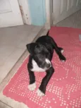 Duke