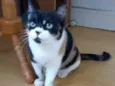 Sara