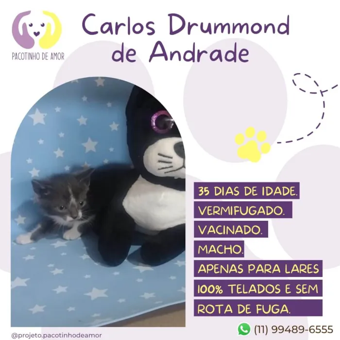 Carlos Drummond de A