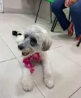Clarinha