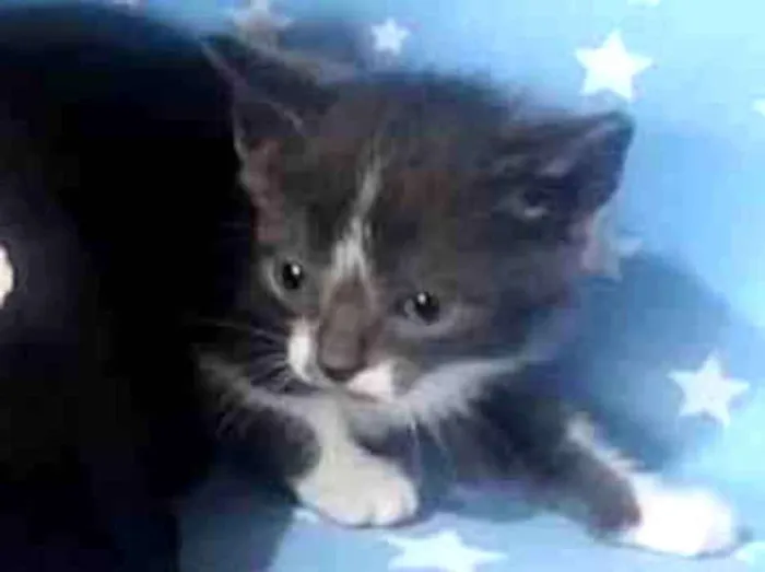 Carlos Drummond de A