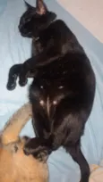 SALEM