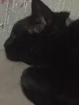 SALEM