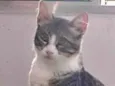 Dora