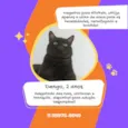 Dengo