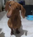Caramelo