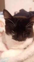 Dom e Luna