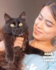 SOFIE