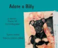 Billy