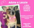 Lessie 