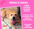 Leona