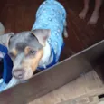 CHARLIE