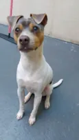 CHARLIE