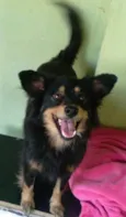 Cloe