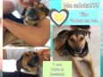 Tiko