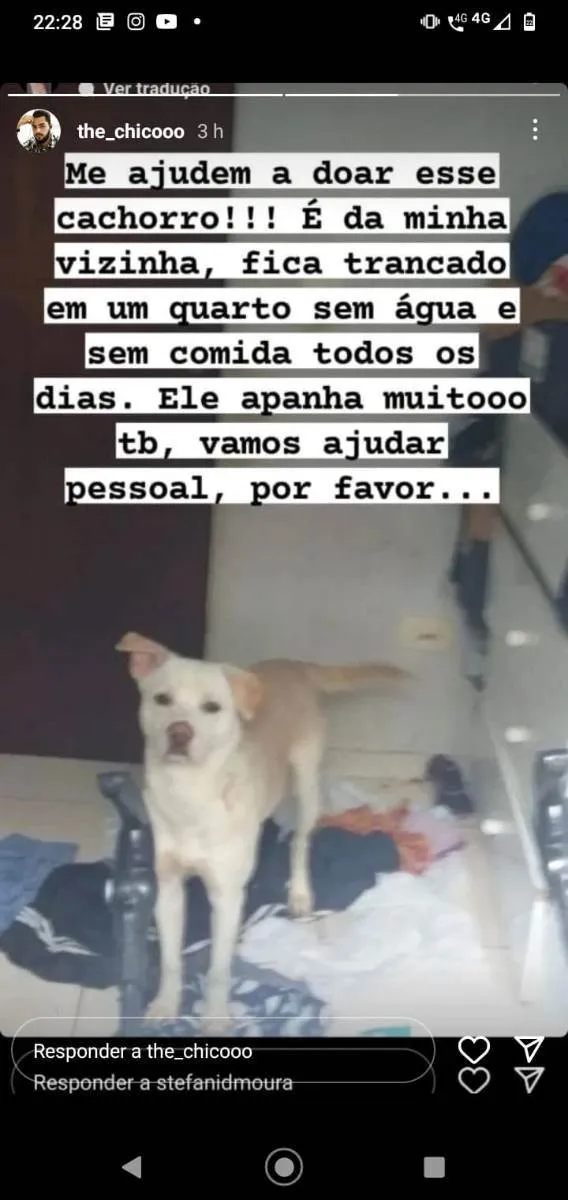 Não tem 